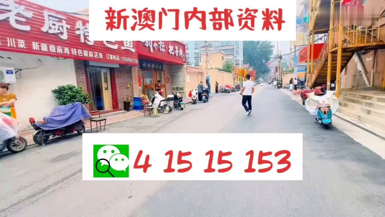 迎接未来，探索新澳门天天好彩的无限可能（2025年展望），展望2025，迎接未来，探索新澳门天天好彩的无限可能
