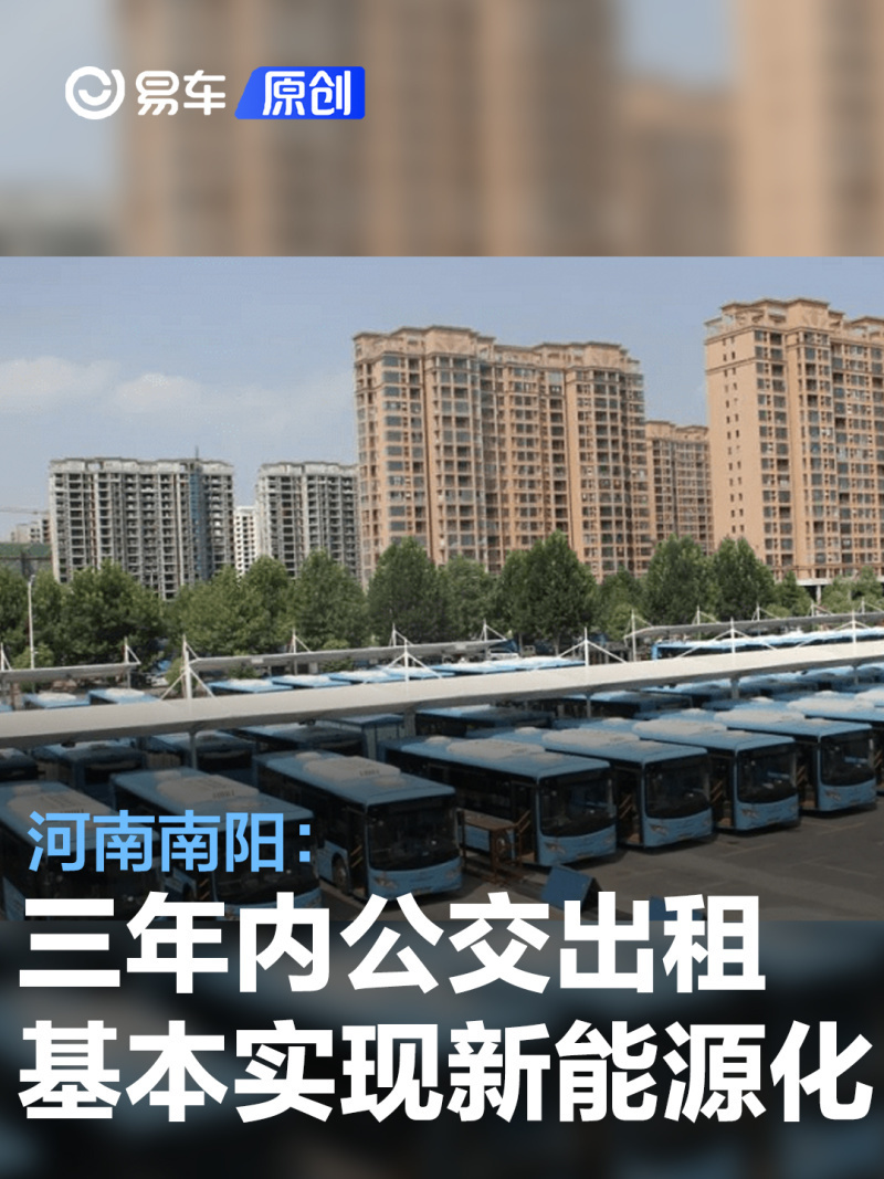 探索未来，2025年新奥正版资料芳草地概览，探索未来，2025新奥正版资料芳草地概览