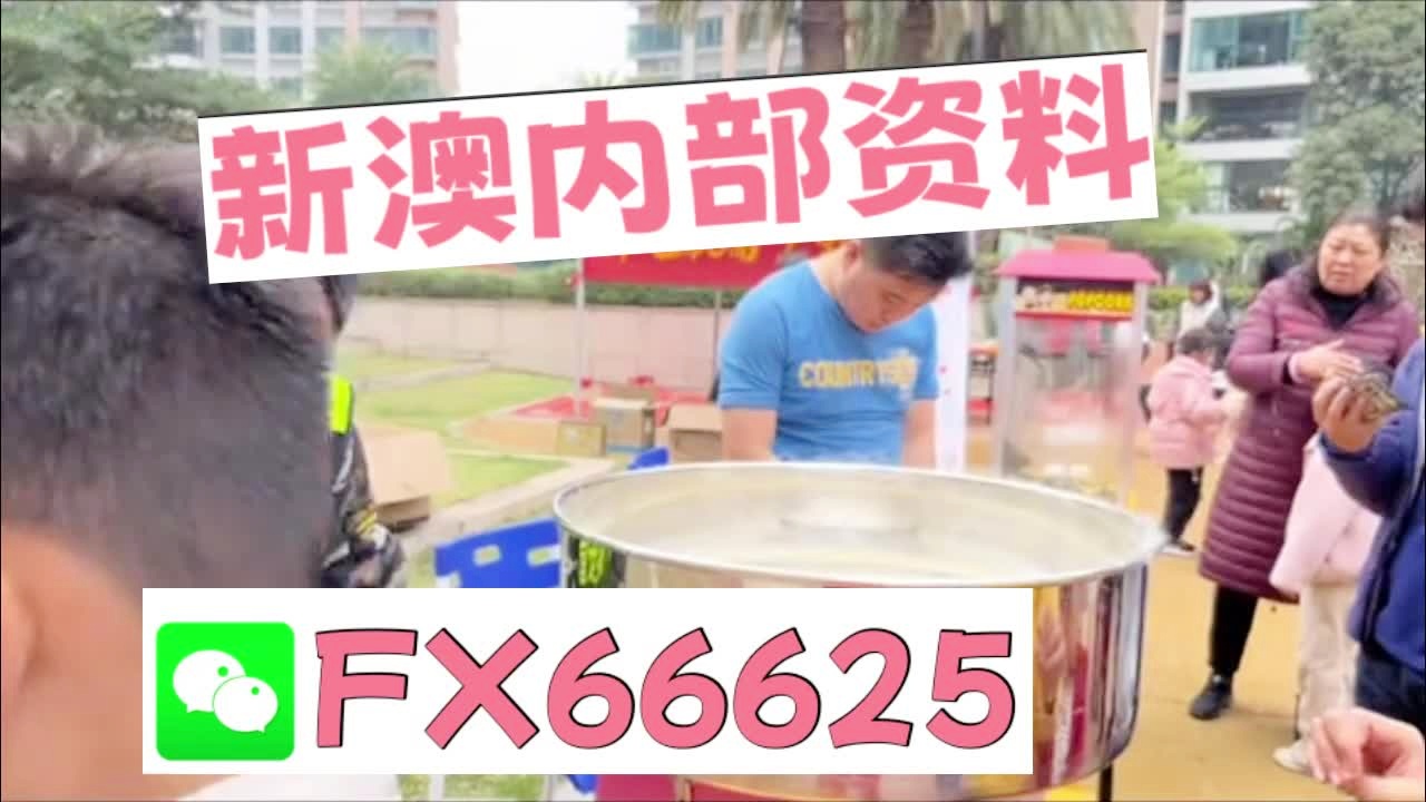 新奥2025最新资料大全，全面解析与深度洞察，新奥2025最新资料详解与深度洞察报告