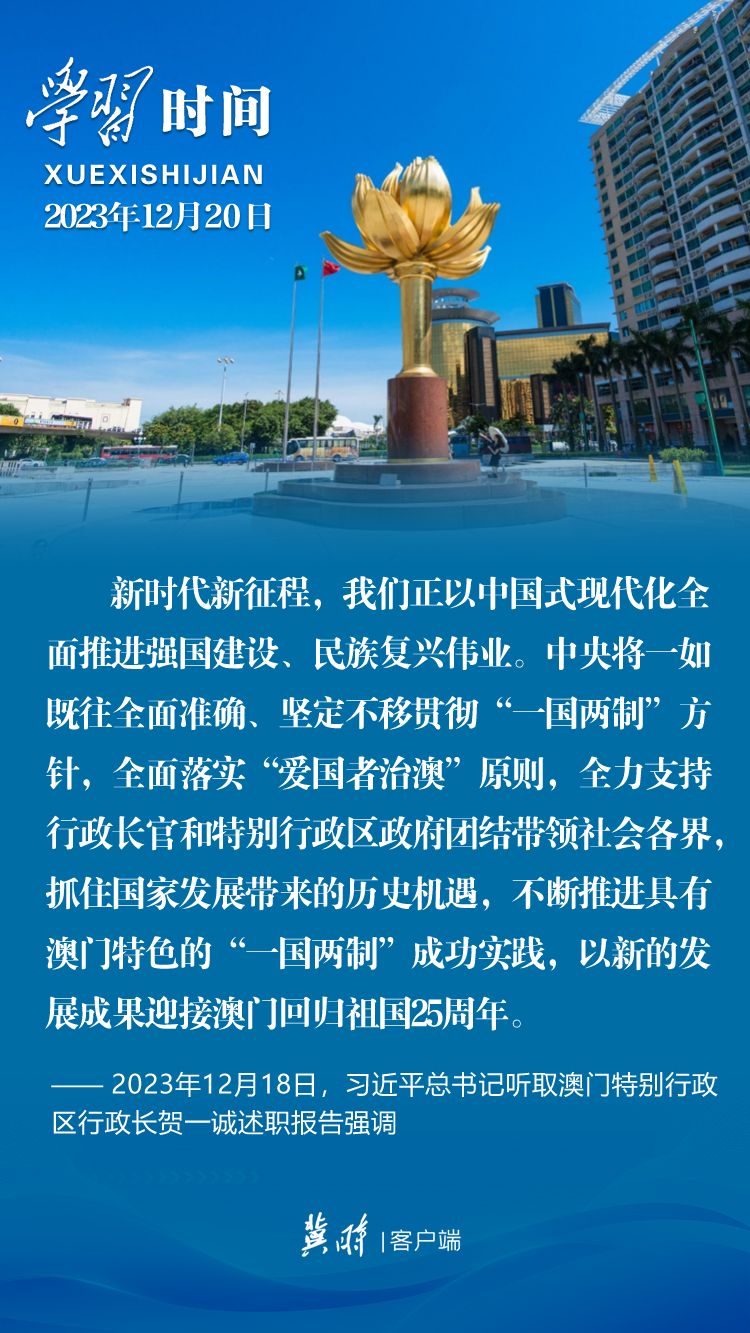 新澳门2025，未来展望与SEO优化策略，新澳门2025展望与SEO优化策略探索