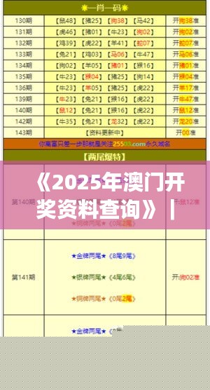 新澳门2025摇号记录表详解与SEO优化策略，澳门彩票摇号记录表详解与SEO优化策略指南