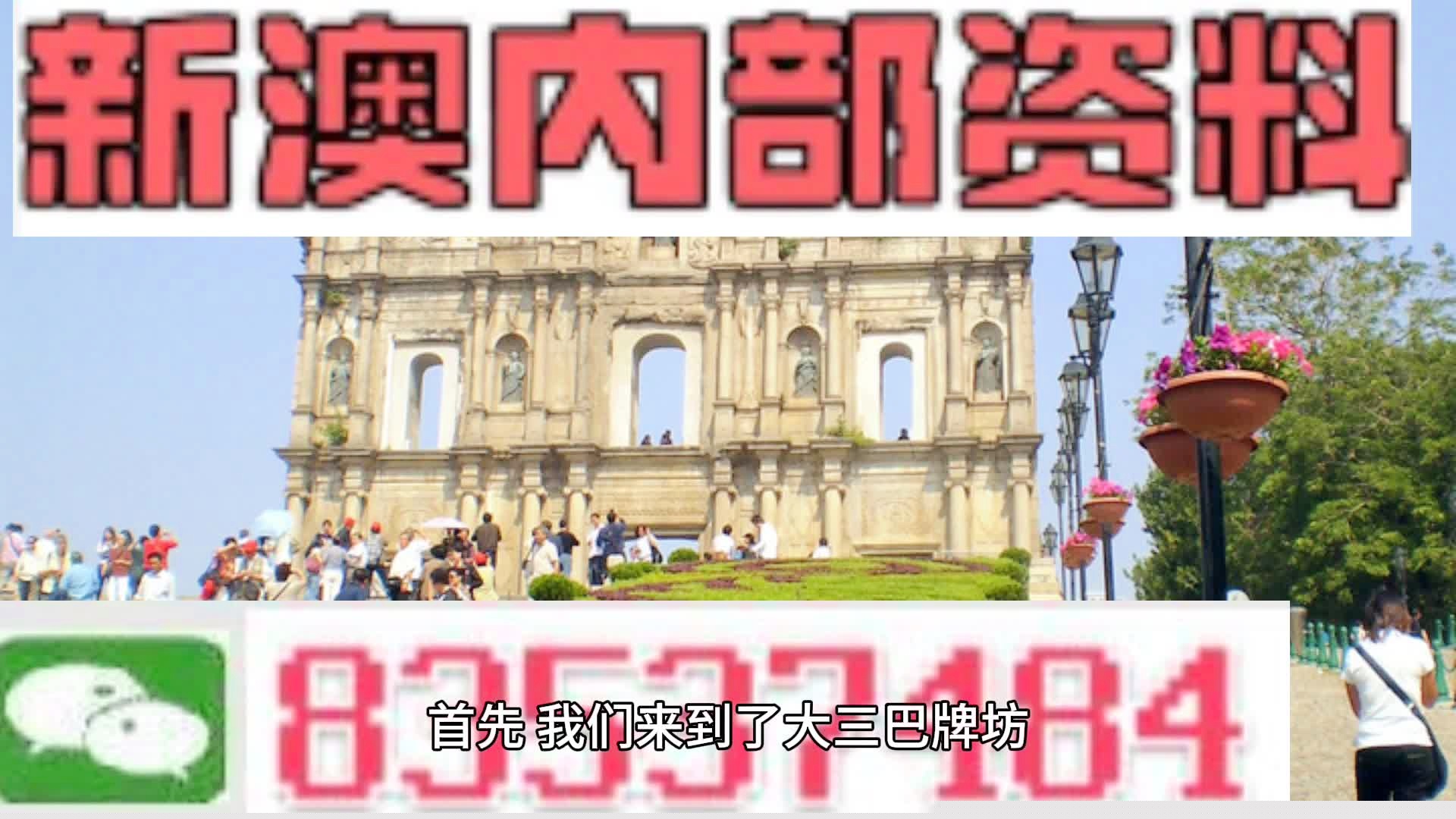 澳门状元红网站免费资料，探索与深度解析，澳门状元红网站免费资料深度探索与解析