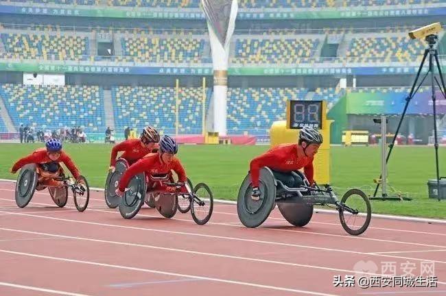 新澳门号码查询记录2025年，全面解析与预测，澳门号码查询记录解析与预测，展望2025年全新趋势
