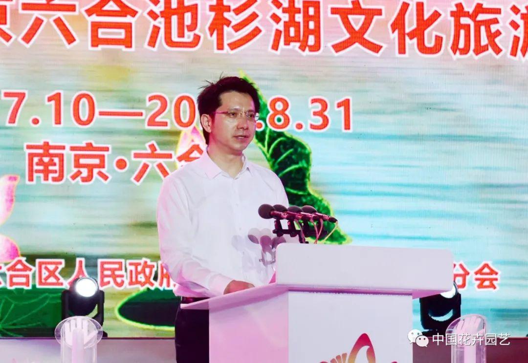 新澳门六和开奖结果，探索彩票开奖的奥秘，澳门六和彩票开奖结果揭秘，探索彩票世界的神秘之旅