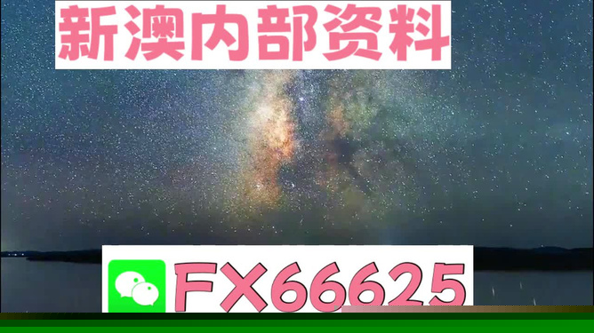 2025新澳天天彩资料详解及SEO优化策略，2025新澳天天彩资料详解与SEO优化策略指南