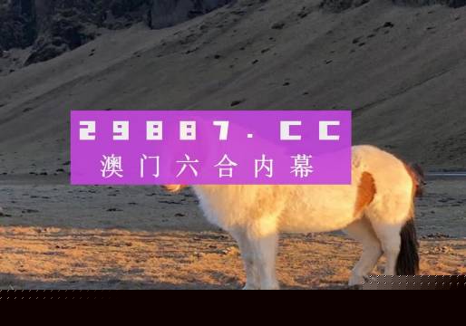 澳门彩之www.04812com探索与体验，澳门彩之www.04812com，探索与沉浸式体验