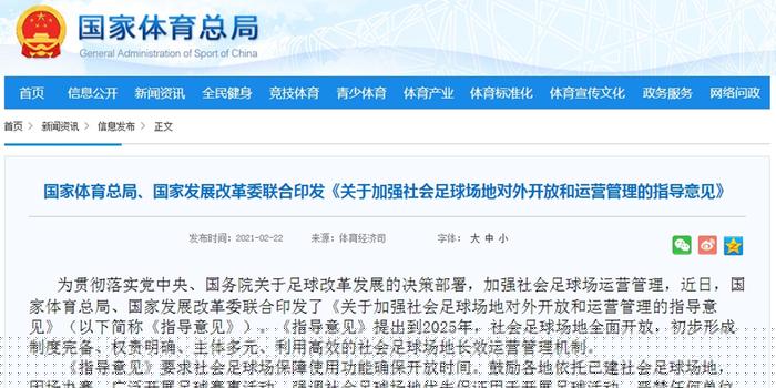 揭秘新奥彩开奘历史记录，展望未来新篇章（2025年），揭秘新奥彩历史记录，展望2025年新篇章发展