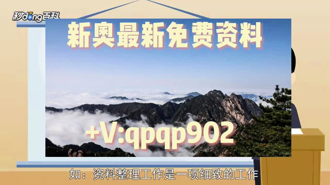 2024年新奥正版资料，全面解析与SEO优化策略，2024年新奥正版资料全面解析与SEO优化策略指南