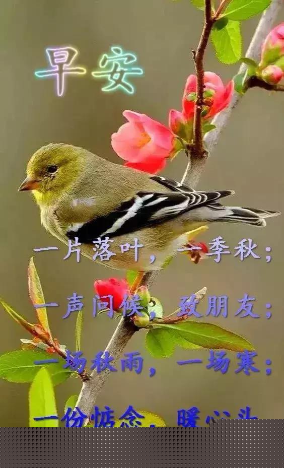 探索无尽的视觉盛宴，800图库大全免费资料，探索无尽的视觉盛宴，800图库大全免费资料汇总