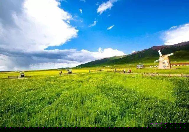 白小姐三肖三期必开奖虎年快乐——揭秘彩票背后的秘密与策略，揭秘彩票背后的秘密与策略，白小姐三肖三期必开奖虎年快乐探讨彩票策略与真相