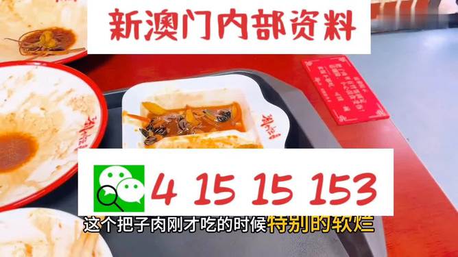 澳门王中王六码新澳门，探索与揭秘，澳门王中王六码新澳门之探索与揭秘