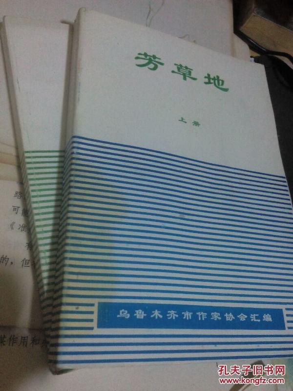 芳草地心水论主论坛最新更新内容深度解析，芳草地心水论坛最新更新内容深度解析报告