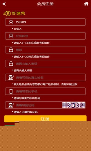管家婆王中王开奖结果十记录香港，深度分析与观察，香港管家婆王中王开奖结果十记录深度分析与观察报告