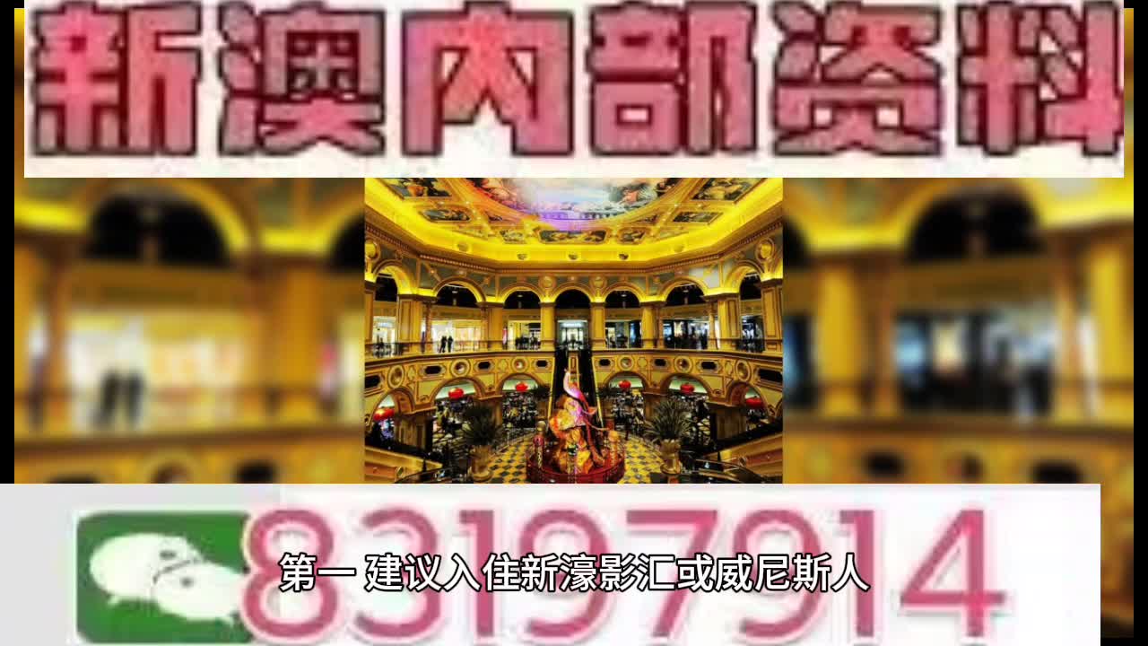 澳门特码，探索其背后的奥秘与魅力，澳门特码背后的奥秘与魅力探索