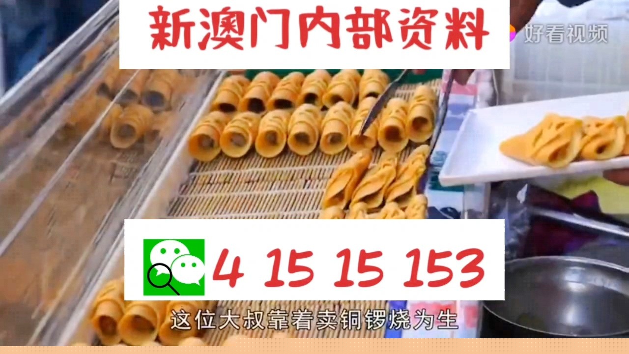 展望澳门天天好彩的未来，2025年的美好蓝图，澳门未来展望，2025年美好蓝图之天天好彩