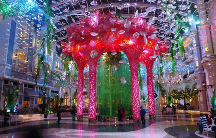 新2025年澳门天天开好彩芳草地——探索彩票的无限可能，澳门彩票新纪元，探索未来无限可能，天天开好彩芳草地