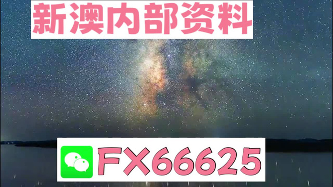 新澳天天开奖资料大全最新版，全方位解析与实用指南，新澳天天开奖资料大全最新版，全方位解析与实用指南手册
