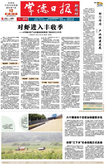 独家解析指南
