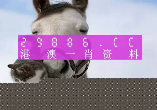 深度解析与探索 第3页