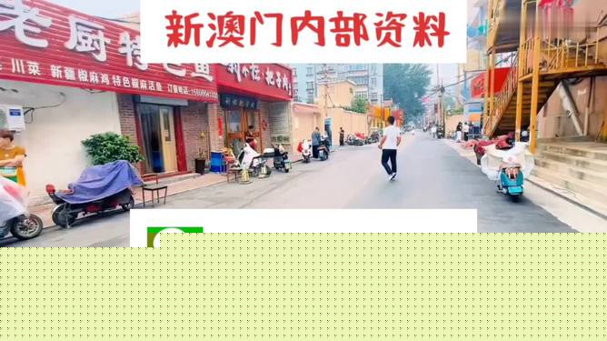 2025年新澳天天开好彩资料详解，2025年新澳天天开好彩资料全面解析