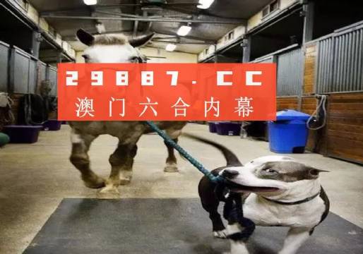 澳门一肖一码一必中一肖，同舟前进的奥秘与策略，澳门一肖一码必中策略与前进奥秘，同舟共济的揭秘与策略