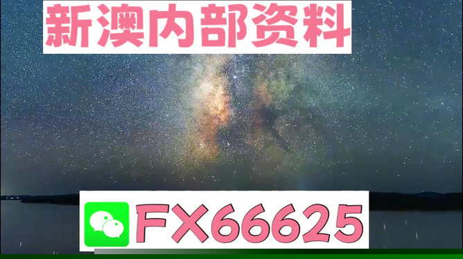 新澳天天开奖资料大全最新版本，全面解析与实用指南，新澳天天开奖资料大全最新版，全面解析与实用指南