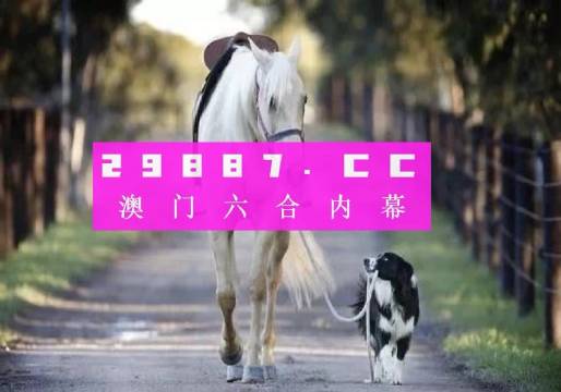 彩票梦想（或彩票预测