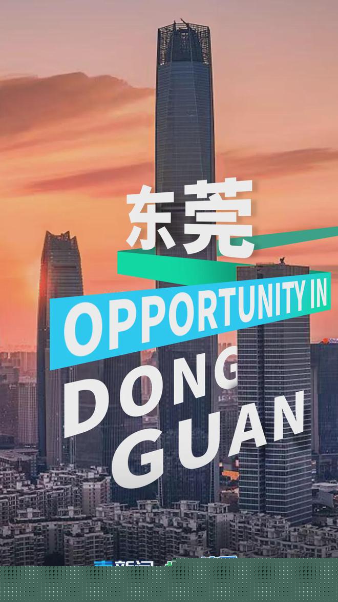 香港三期必开一期免费百，深度解析与探索，香港三期必开一期免费百，深度解析与独家探索