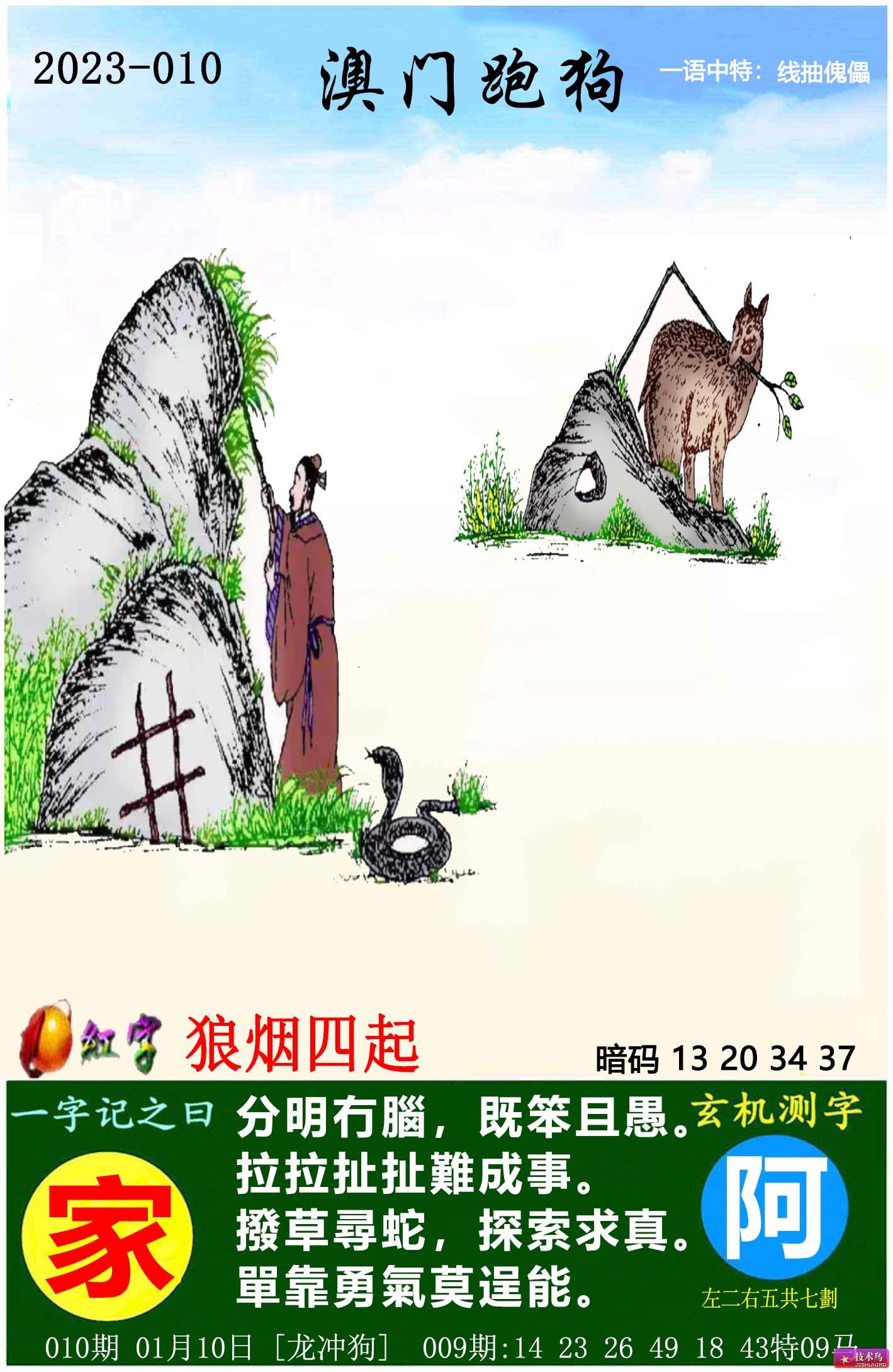 全新版7777788888跑狗资料，全方位解读与SEO优化策略，全方位解读跑狗资料SEO优化策略，全新版77777与88888跑狗资料解析
