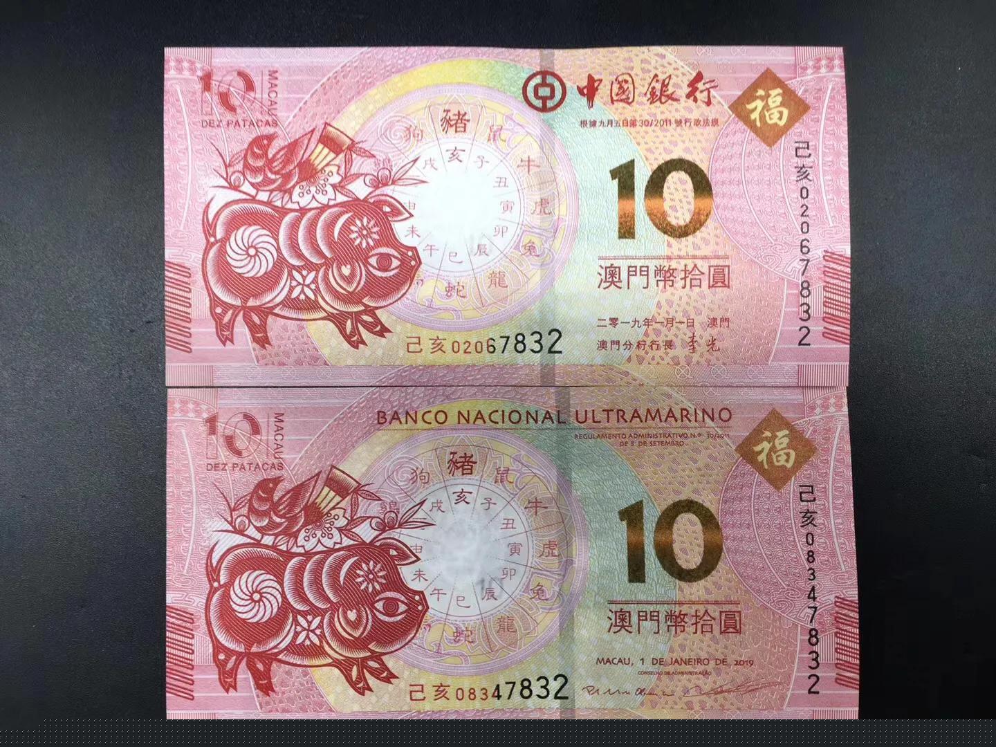 澳门天天彩期期精准十二生肖预测——揭秘彩票背后的秘密，澳门天天彩期期精准十二生肖预测，彩票背后的秘密大揭秘