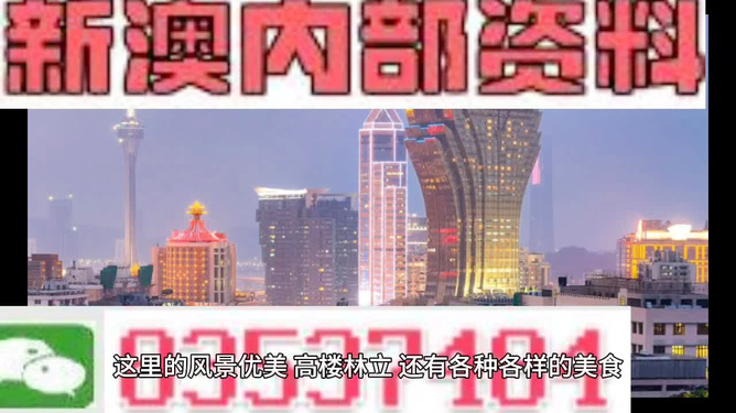 新澳门精准800图库，探索与解析，新澳门精准800图库，深入探索与详细解析