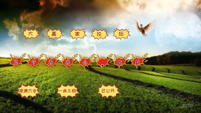 澳门彩，探索与体验www.04812com的魅力世界，澳门彩，探索与体验www.04812com的魅力澳门世界