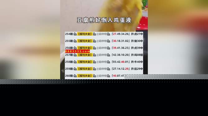 新澳码开奖结果查询，轻松掌握最新开奖动态，新澳码开奖结果查询，轻松掌握最新动态