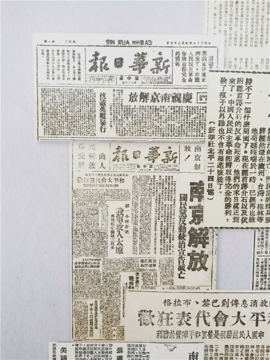 探索最新跑狗图2025高清图片版，独特魅力与SEO优化策略，探索最新跑狗图2025高清版，独特魅力与SEO优化策略揭秘