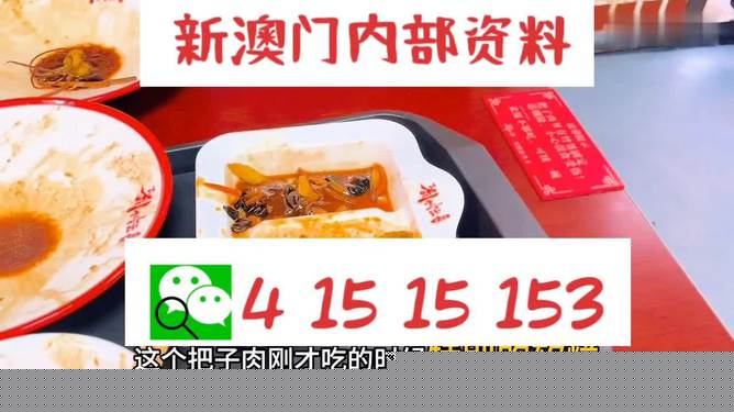 澳门王中王六码新澳门，探索与解析，澳门王中王六码新澳门，深度探索与解析