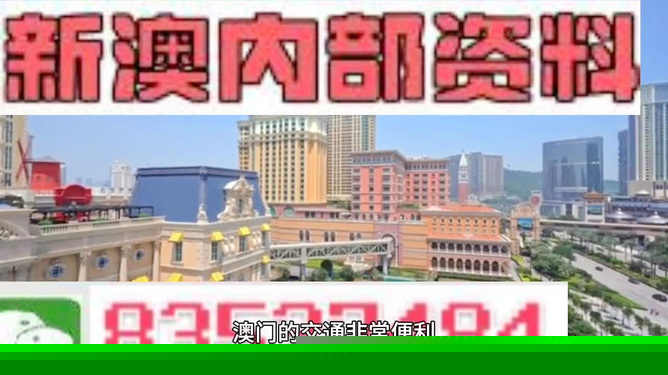 2023年探索新澳正版资料最新网，全面解析与SEO优化策略，2023年新澳正版资料最新网全面解析与SEO优化策略指南