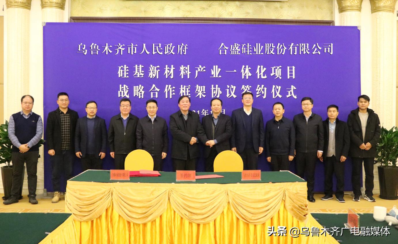 2024澳门天天开好彩355期开奖精彩回顾与预测，澳门天天开好彩精彩回顾与预测，第355期开奖回顾及未来趋势分析