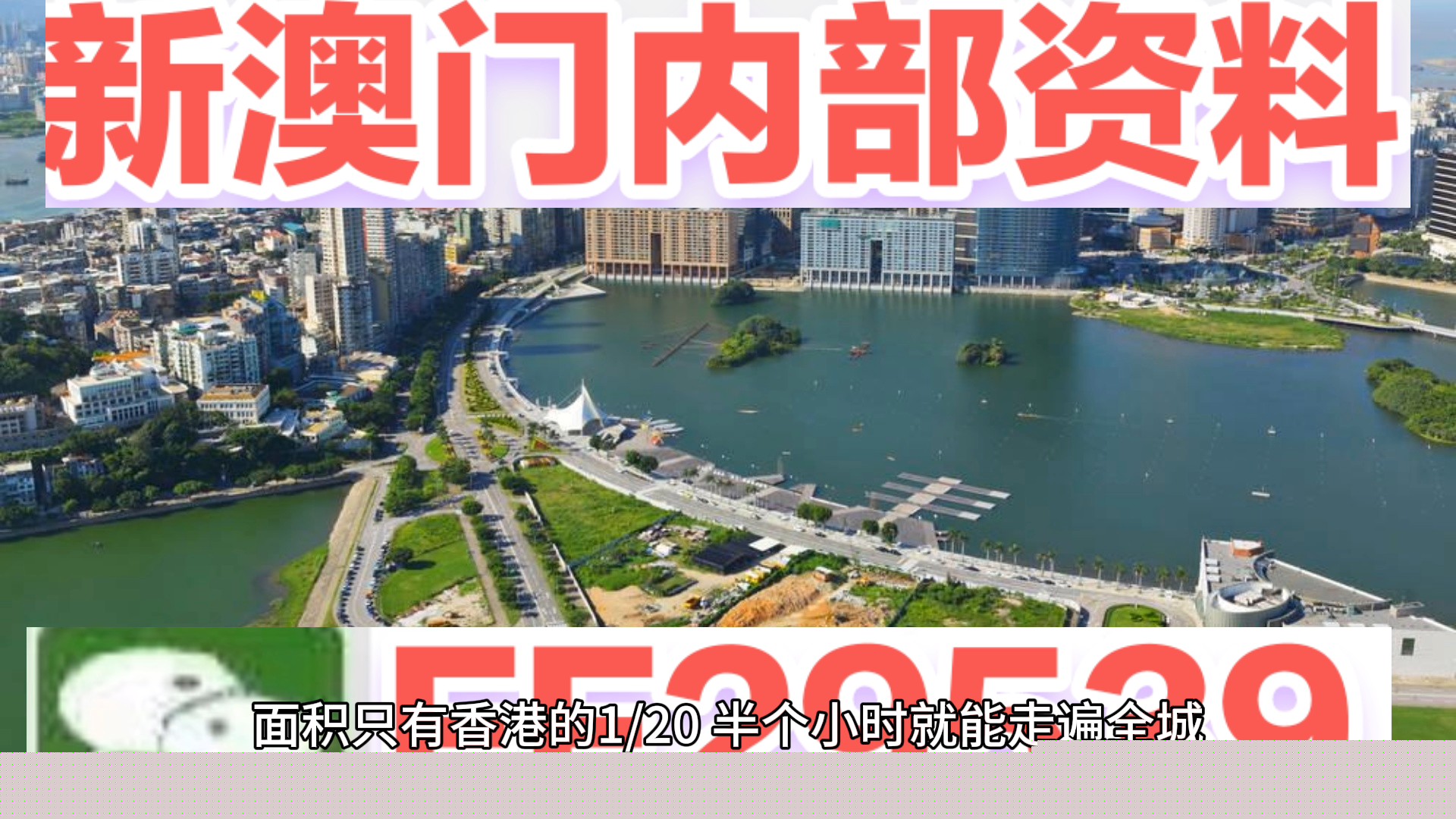 澳门特码，探索其背后的奥秘与魅力，澳门特码背后的奥秘与魅力探索