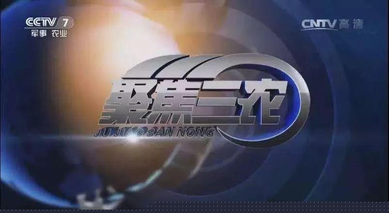 军事频道CCTV7直播现在的实时报道与深度解析，CCTV7军事频道实时报道与深度解析直播标题