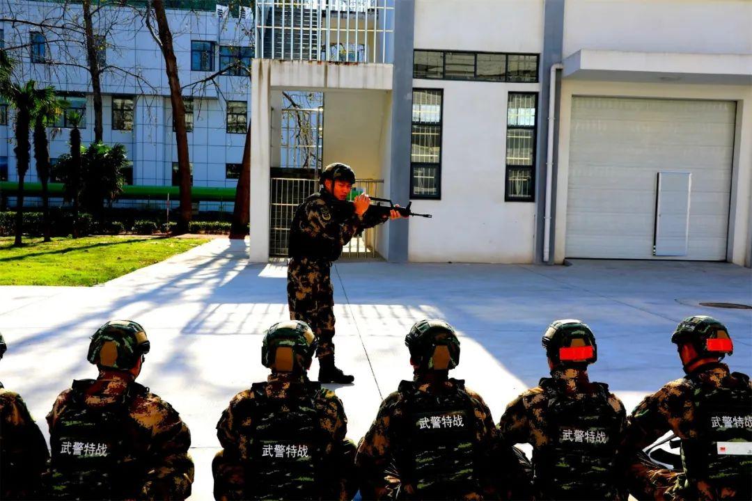 军事头条网，聚焦全球军事热点，传递最新军事资讯，军事头条网，全球军事热点聚焦，最新军事资讯速递