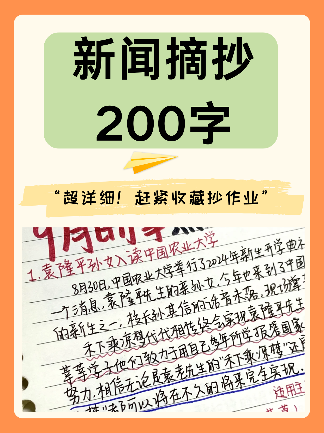 新闻咨询 第213页