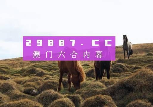 澳门六开奖结果 2023年最新开奖记录及分析，澳门六开奖结果最新动态，2023年开奖记录及分析摘要