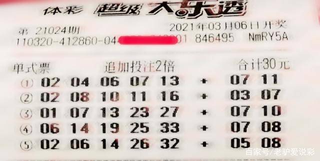 王中王024期指一生肖，深度解读与SEO优化策略，王中王024期生肖深度解读与SEO优化策略全攻略