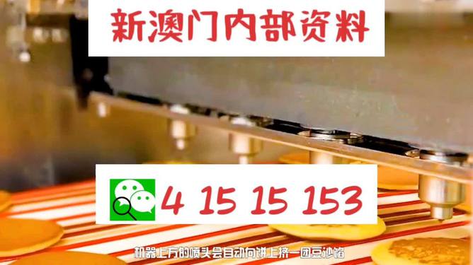 最准的一肖王中王，揭秘生肖运势与个性魅力，揭秘生肖运势与个性魅力，最准的一肖王中王解析