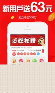 王中王013指一生肖，探寻背后的神秘与奥秘，王中王013生肖背后的神秘奥秘探寻