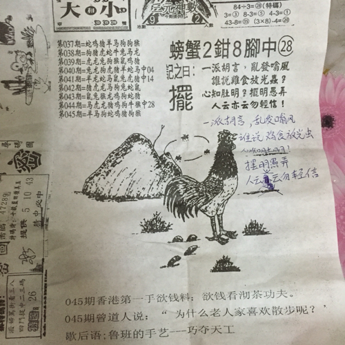 王中王一字一句猜一肖——揭秘生肖之谜，揭秘生肖之谜，王中王一字一句解读生肖之谜