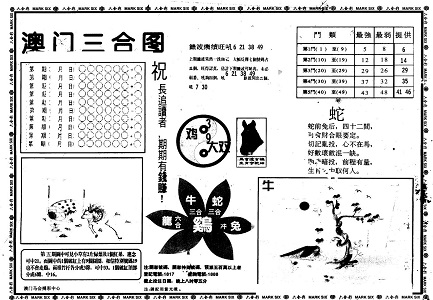 王中王资料中特一肖中特，深度解析与SEO优化策略，王中王资料解析与SEO优化策略，特一肖中特的深度探讨