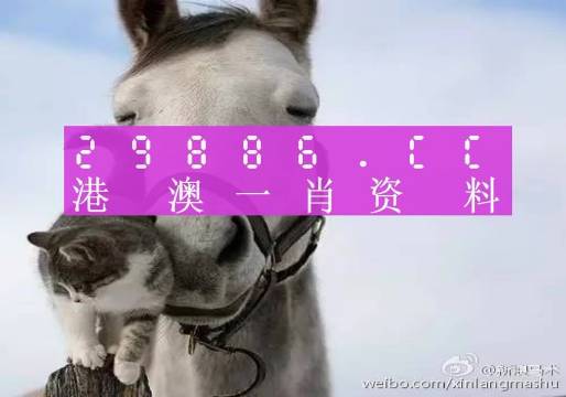 揭秘刘伯温四肖选一肖中特特之谜，探寻背后的秘密策略，刘伯温四肖选一肖中特揭秘，探寻神秘策略背后的秘密