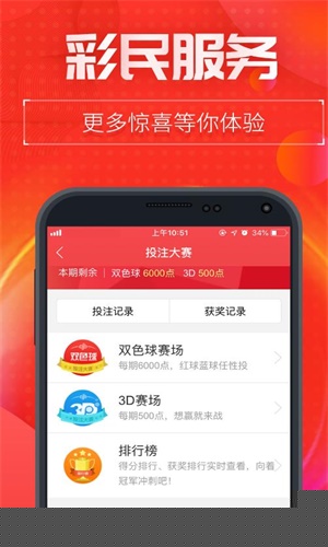 王中王一肖中特玄机网，深度解析与SEO优化策略，王中王一肖中特玄机网深度解析与SEO优化策略探讨