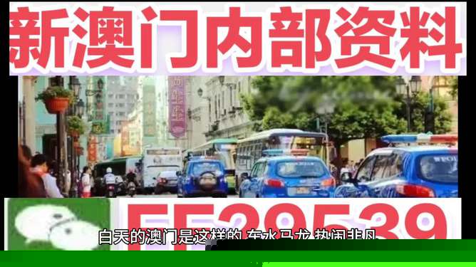 澳门彩票开奖结果预测与解析（2025年展望），澳门彩票开奖结果预测解析（展望2025年）